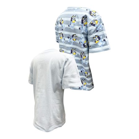 Character Toddler Boys' 2-7 Bluey T Shirt - 2 Pack