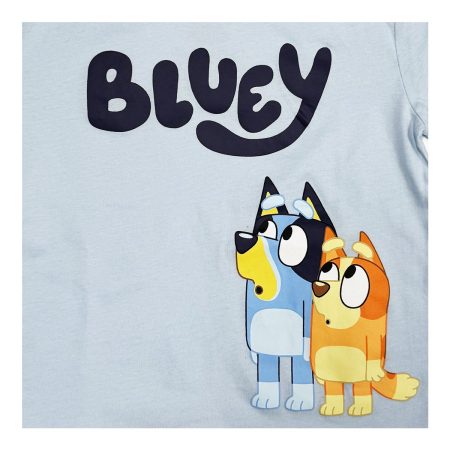 Character Toddler Boys' 2-7 Bluey T Shirt - 2 Pack