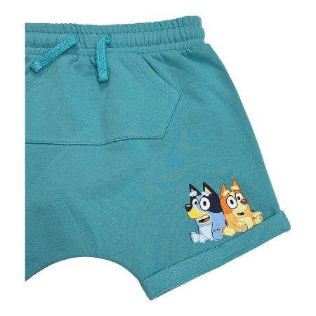 Character Toddler Boys' 2-7 Bluey T Shirt And Shorts Set