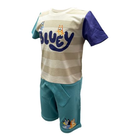 Character Toddler Boys' 2-7 Bluey T Shirt And Shorts Set