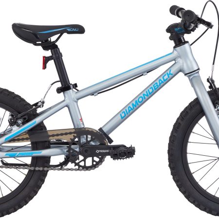 Diamondback Frenzy 16 Inch Junior Mountain Bike