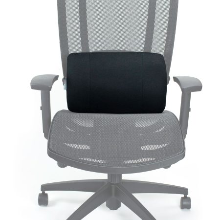 ObusForme Side to Side Lumbar Cushion