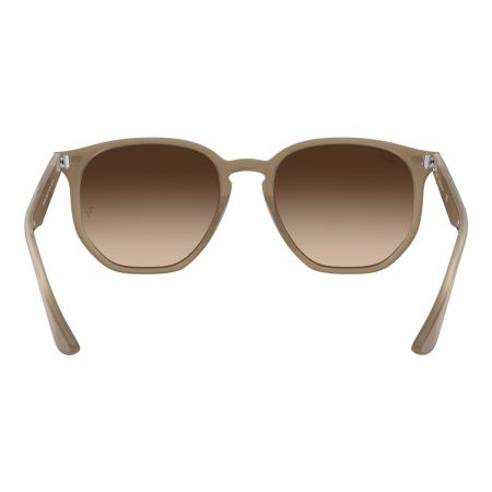 Ray-Ban 0RB4306 Sunglasses