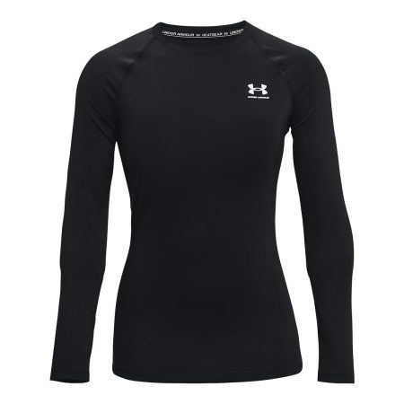 Under Armour Women's HeatGear© Authentics Compression Long Sleeve Shirt