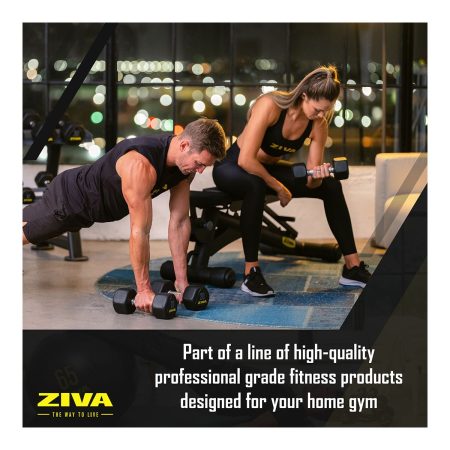 Ziva F-I-D Adjustable Bench