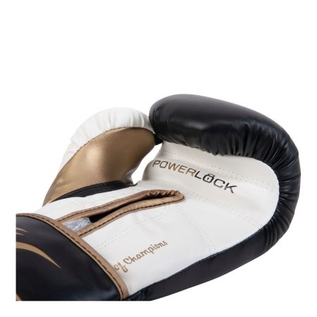 Everlast Powerlock 2 10 oz Training Gloves