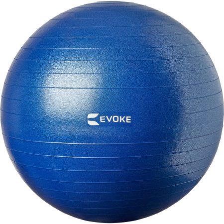 Evoke 55cm Exercise Ball