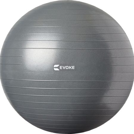 Evoke 65cm Exercise Ball