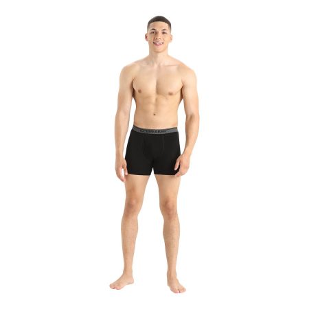 Icebreaker Men's Anatomica Boxers