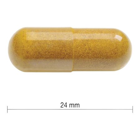 Jamieson 550mg Curcumin Turmeric - 36 Vegetarian Capsules