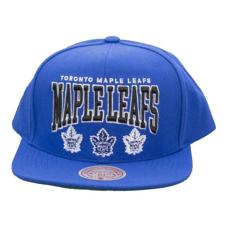 Toronto Maple Leafs Mitchell & Ness Team Ground 2.0 Dad Cap