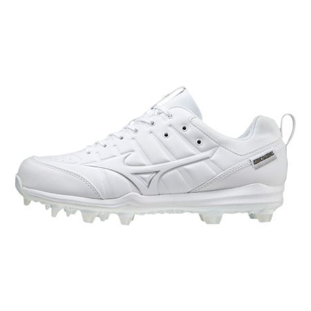 Mizuno Men's Ambition 2 Low-Cut Molded Baseball/Softball Cleats