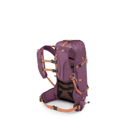 Osprey Women's Tempest Velocity 20L Backpack