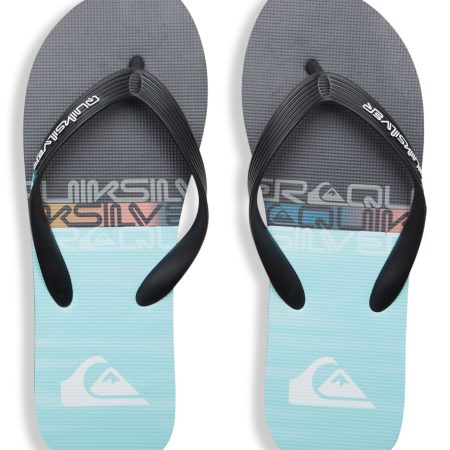 Quicksilver Men's Molokai Flip Flop Sandals