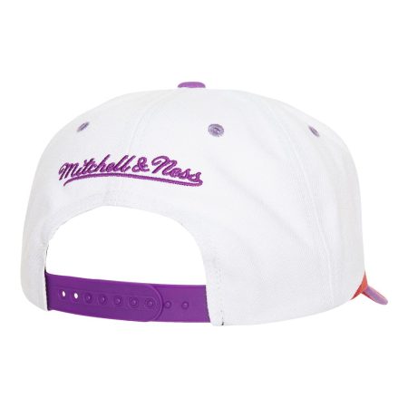 Toronto Raptors Mitchell & Ness HWC Retrodome Snapback Cap