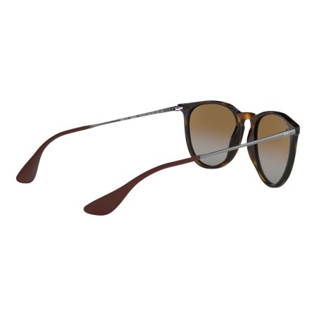 Ray Ban Women's Erika Cat-Eye Sunglasses, Polarized