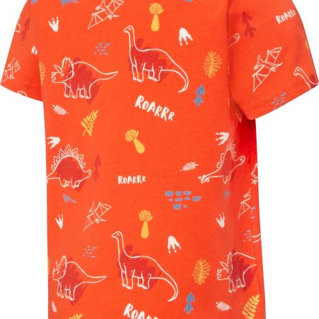 Ripzone Toddler Boys' 2-6 Carsten All Over Print T Shirt