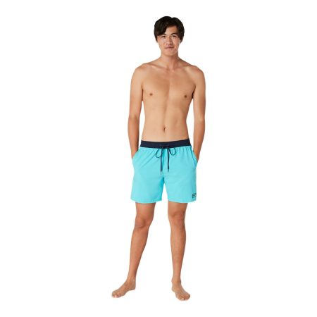 Speedo Men's Seaside 17 Inch Volley Shorts