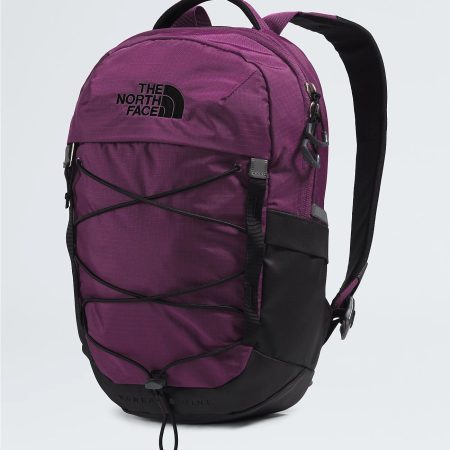 The North Face Borealis Mini Backpack