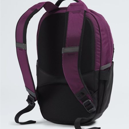 The North Face Borealis Mini Backpack