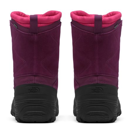 The North Face Kids' Alpenglow V Waterproof Insulated Lightweight Winter Boots