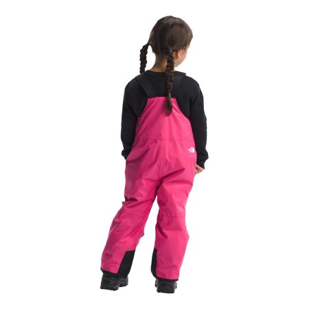 The North Face Toddler Girls' 2-6 Freedom Insulated Bib Pants