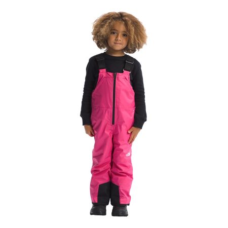 The North Face Toddler Girls' 2-6 Freedom Insulated Bib Pants