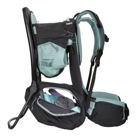 Thule Sapling Child Carrier