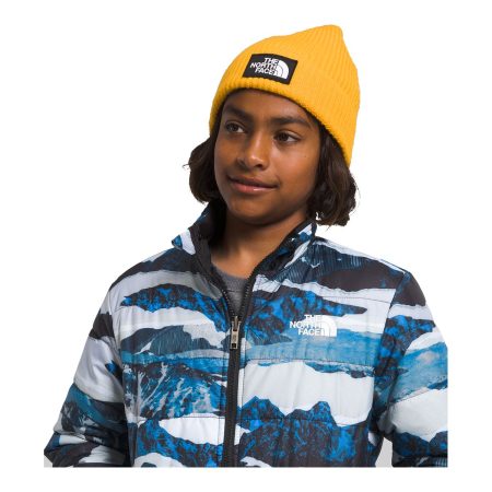 The North Face Boys' Reversible Mount Chimbo Insulated Jacket