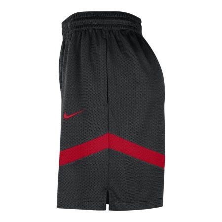 Toronto Raptors Nike Practice 8 Inch Icon Shorts