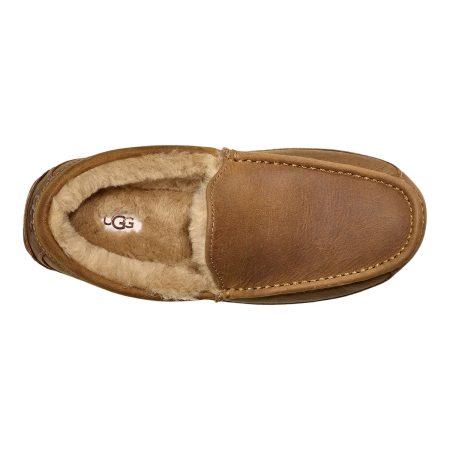 UGG Men's Ascott Slip On Slippers