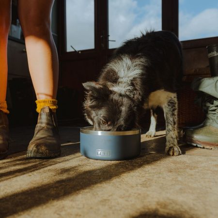 YETI Boomer™ 4 Dog Bowl