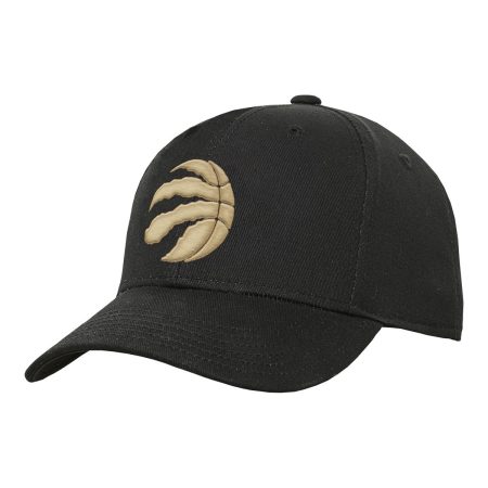 Youth Toronto Raptors Alt Basic Precurve Snapback Cap - Black/Gold