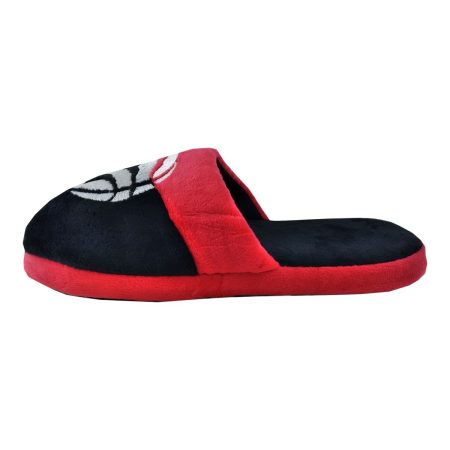 Youth Toronto Raptors Forever Collectibles Big Logo Slippers