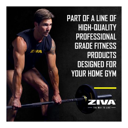 Ziva Performance Rubber Grip 10 lb Weight Disc, Weight, Home Gym