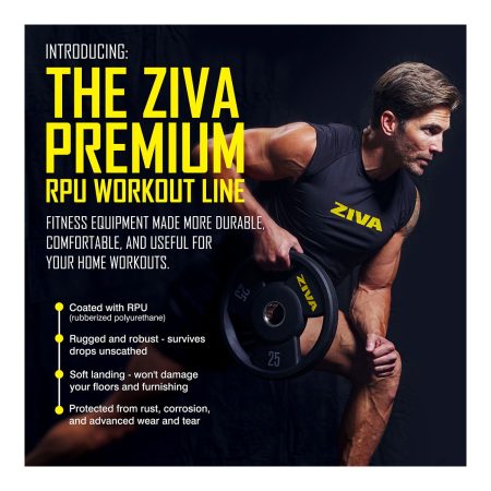 Ziva Performance Rubber Grip 2.5 lb Weight Disc, Weight, Home Gym