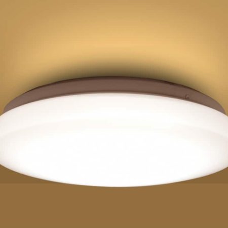 NOMA LED Flush Mount Ceiling Light Fixture, White, 10-in