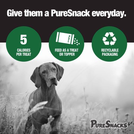 PureSnacks Freeze Dried Beef Liver Dog Treats, 198-g