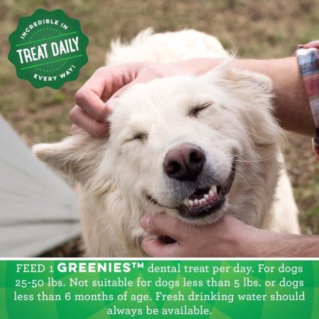 Greenies Original Regular Oral Care Dental Dog Treats, 765-g