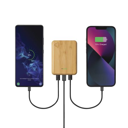 Bluehive 10K mAh Wood Power Bank