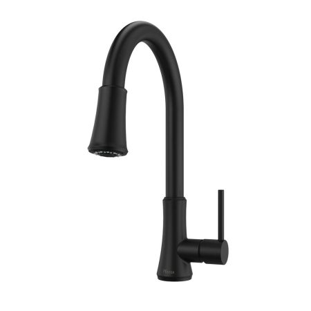 Pfister Classic Single Handle Pulldown Kitchen Faucet, Matte Black