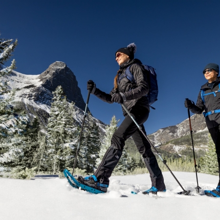 Smartwool Women's Ski Zero Cushion Print Over The Calf Socks