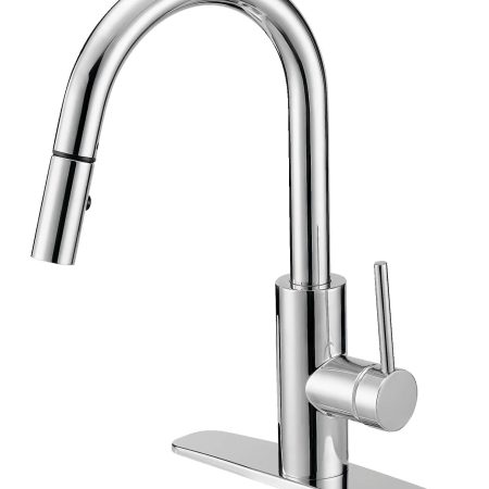 Danze Colby Single Handle Pull Down Kitchen Faucet, Chrome