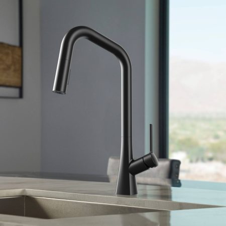 Danze Sieben 1-Handle Kitchen Pull-Down Faucet, Matte Black