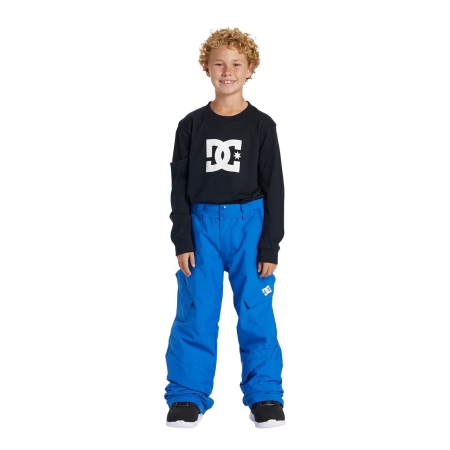 DC Boys' Insulated Snowboard Pants