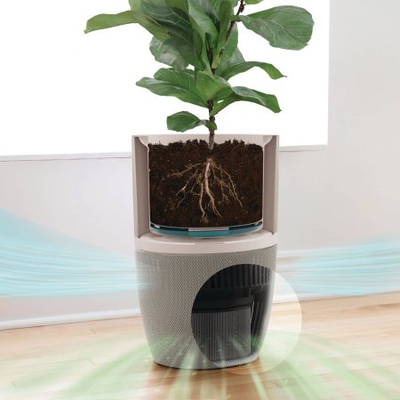 Dupray Bloom™ HEPA-13 Medical-Grade Air Purifier, Removes Allergens & Odours, For Large Rooms