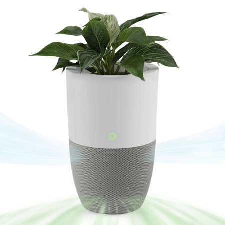 Dupray Bloom™ HEPA-13 Medical-Grade Air Purifier, Removes Allergens & Odours, For Large Rooms