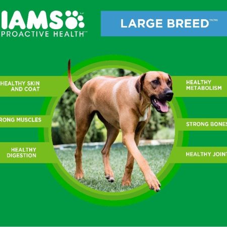 IAMS Large Breed Adult Dry Dog Food, 13.6-kg