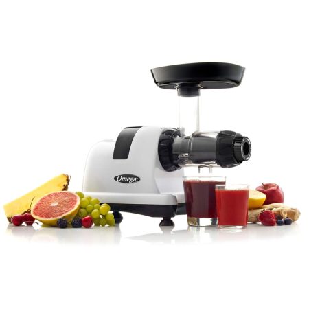 Omega Juicer, Horizontal & Slow, Stainless Steel, 150W, 4 Cups