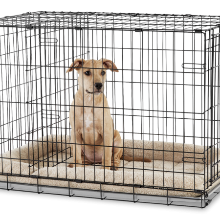 Petco 1-Door Large Folding Dog Crate, 36-in L x 23-in W x 25-in H